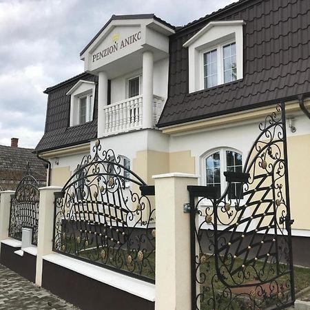 Penzion Aniko Diakovce-Sala Zewnętrze zdjęcie
